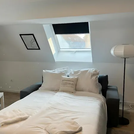 شقة Light-filled Top-floor In Karlsruhe-muehlburg - Apolonialiving - Apt4 كارلسروه