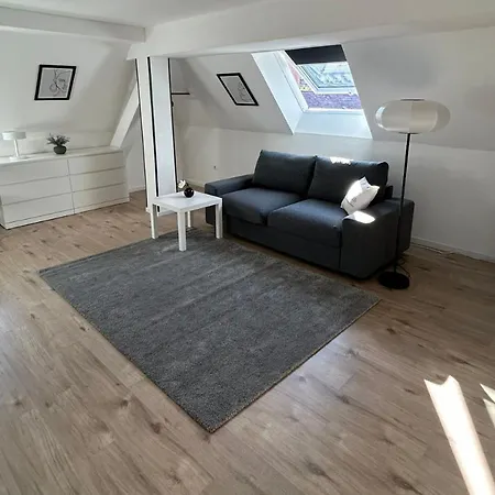 Light-filled Top-floor In Karlsruhe-muehlburg - Apolonialiving - Apt4 شقة