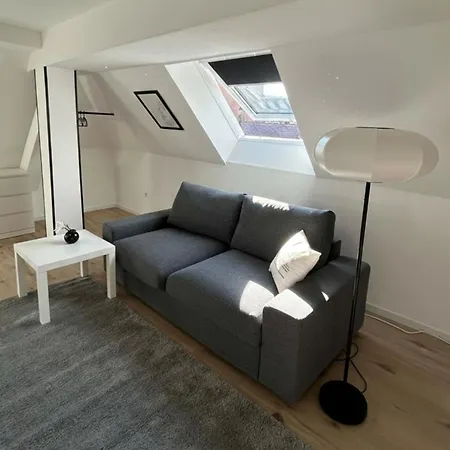 Light-filled Top-floor In Karlsruhe-muehlburg - Apolonialiving - Apt4 شقة كارلسروه