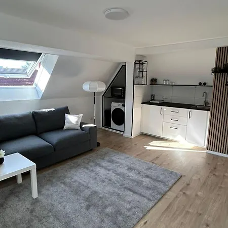 Apartamento Light-filled Top-floor In Karlsruhe-mühlburg - Apolonialiving - Apt4 *